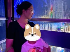 -琴岛之星摩天轮