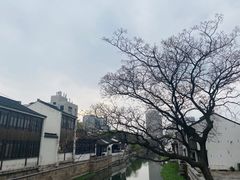 -青果巷历史文化街区