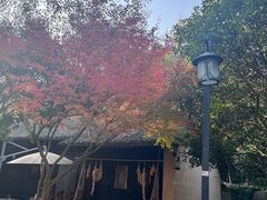 -山外山·林语花园餐厅