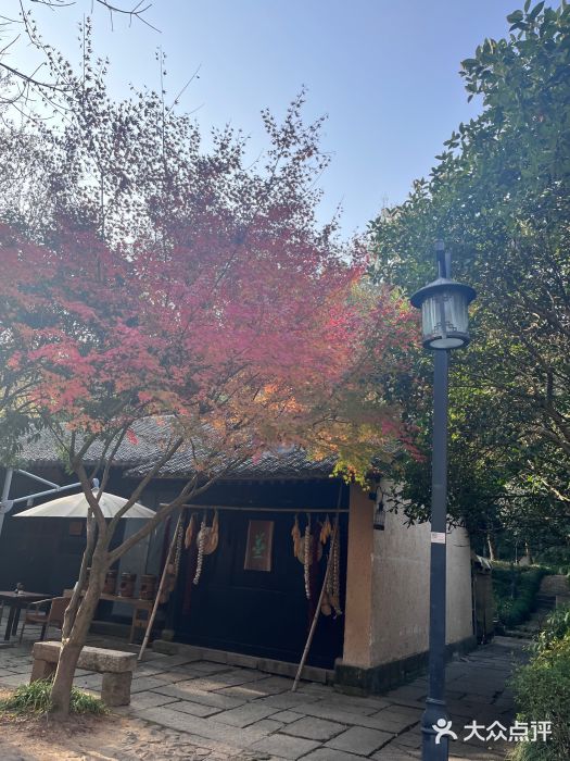 山外山·林语花园餐厅图片