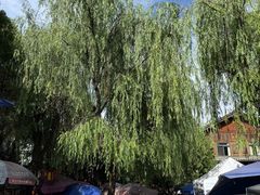 -大理文庙(大理古城)