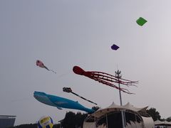-天津东疆湾沙滩景区