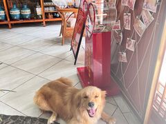 -八木轩·寻味大理白族民俗餐厅(文献路店)