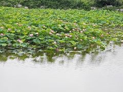 -邓小平故里