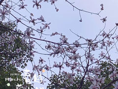 -东湖磨山景区