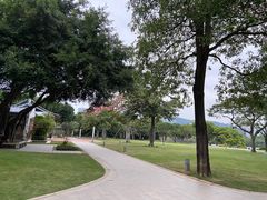 -白鹭洲公园