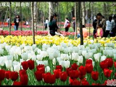 -石家庄市植物园
