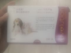 -申普宠物医院·眼科·心内科·影像科(普陀分院)