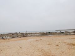 -日照灯塔风景区