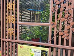 -广州神农草堂中医药博物馆
