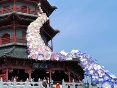 -江苏三台山国家森林公园