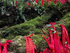 -炎陵县神农谷国家森林公园