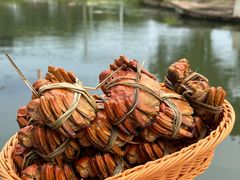 -蟹村草堂·苏式园林人文农家·大闸蟹