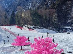 -叠溪松坪沟景区