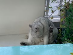 -小时光咖啡馆(北锣鼓巷店)