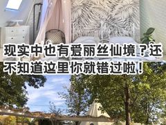 -安德鲁户外烧烤帐篷营地(马泉营店)