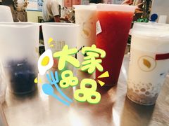 多肉莓莓-茉沏(光启城店)