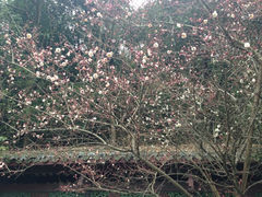 iphone_upload_pic-严子陵钓台(富春江小三峡)