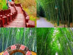 -乌蒙大草原