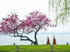 -苏堤停车场