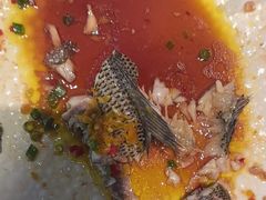 -佳兰雅序融合菜(高新店)