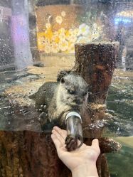 -Zoolung Zoolung动物主题公园(海信广场店)