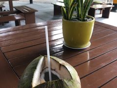 -100蛋泥浆浴