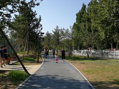 -回龙观体育文化公园