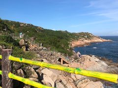 -广东惠东海龟国家级自然保护区