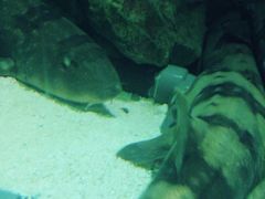 -苏州海洋馆