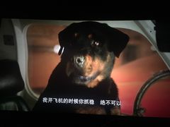 -博纳国际影城(铜锣湾激光巨幕杜比店)