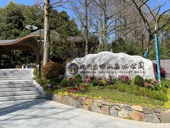 -东明山森林公园