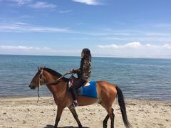 -青海湖国家重点风景名胜区