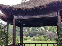-上海醉白池公园