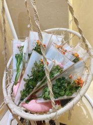 -安琪朵朵独栋花园月子中心