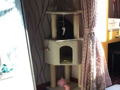 -1013 PET SHOP 宠物商店(近铁城市广场店)