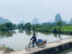 -会仙湿地
