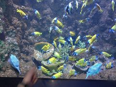 -海合安青岛极地海洋公园