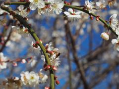 -广州市流溪河国家森林公园