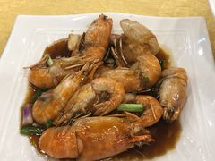 -鸿达渔港