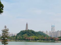 -顺峰山公园