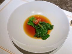 -觀芷隐轩