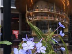 -凤凰湘语·湘粤鲜融(浦东旗舰店)