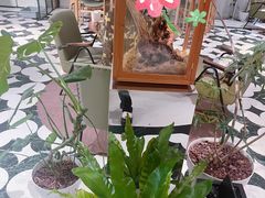 -一尺花园(安和花园店)