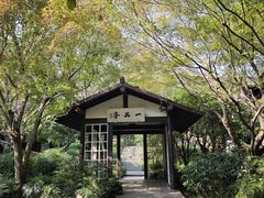 -中国茶叶博物馆(双峰馆区)