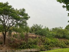 -太阳岛旅游度假区