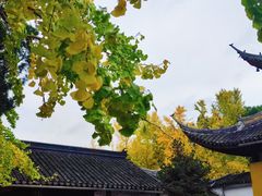 -西园戒幢律寺