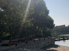 -圩墩遗址公园