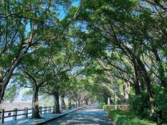 -大湾区中央湿地公园