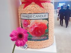-西树泡芙(静安大悦城店)